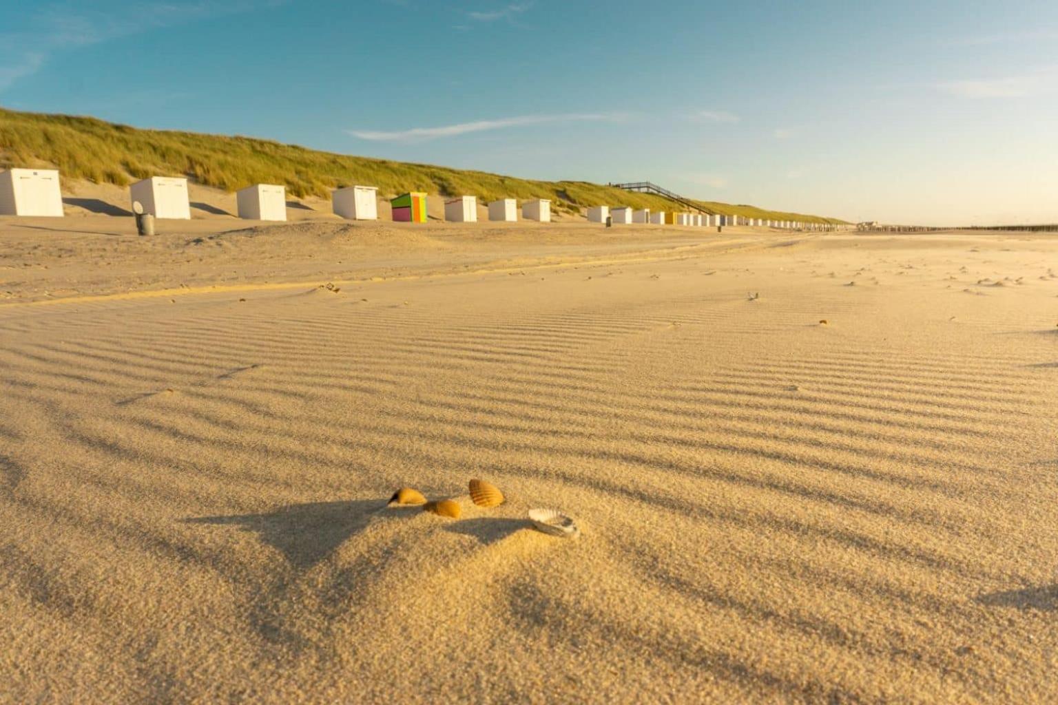 'Relax Lodge Sea' - Wellness Lodge In Zeeland - Private Sauna - Airco - Garden - Outdoor Swimming Pool - Free Wifi, Towels & Bed Linen Heinkenszand Zewnętrze zdjęcie